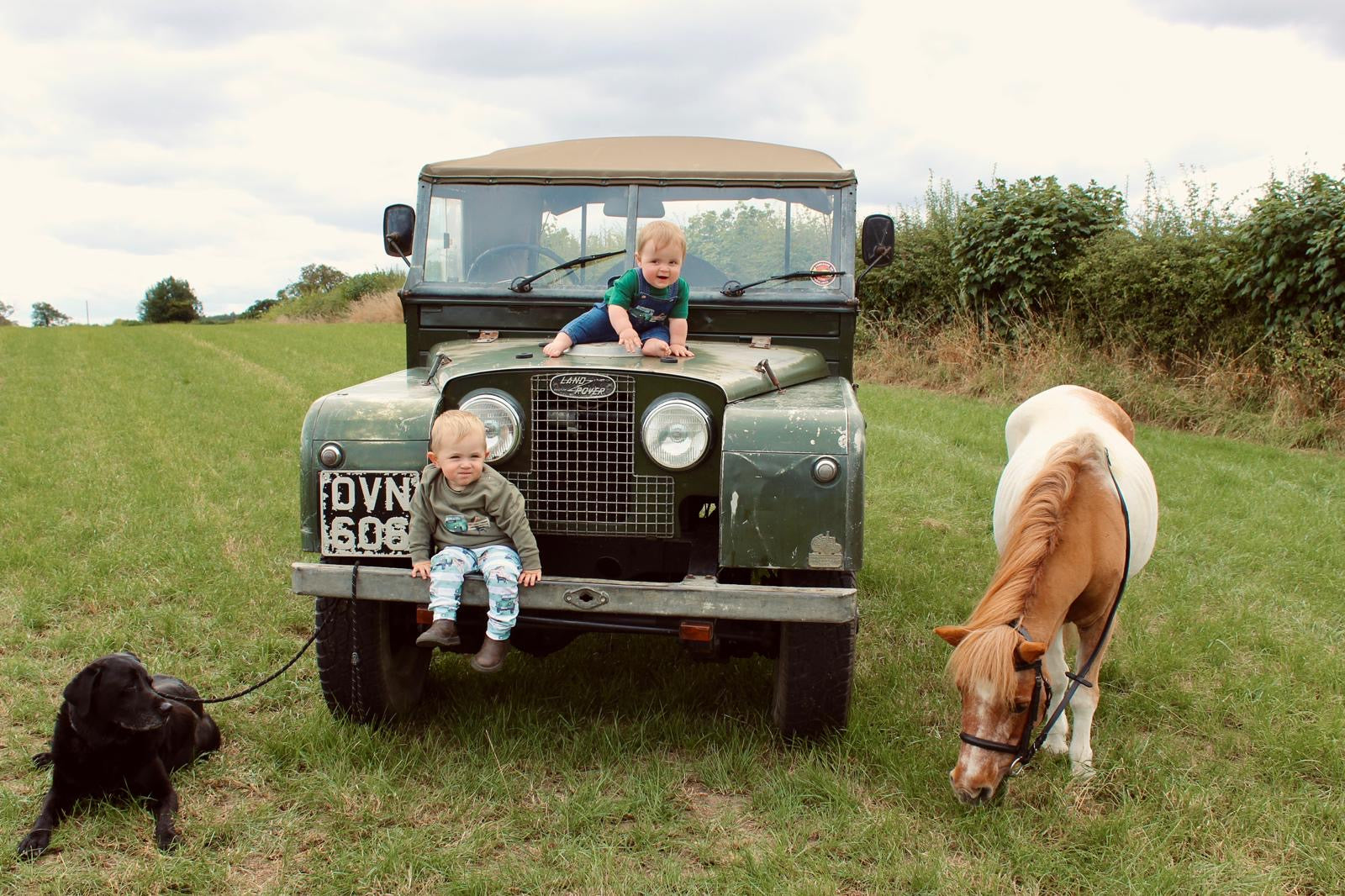 Horse and Hounds dungarees