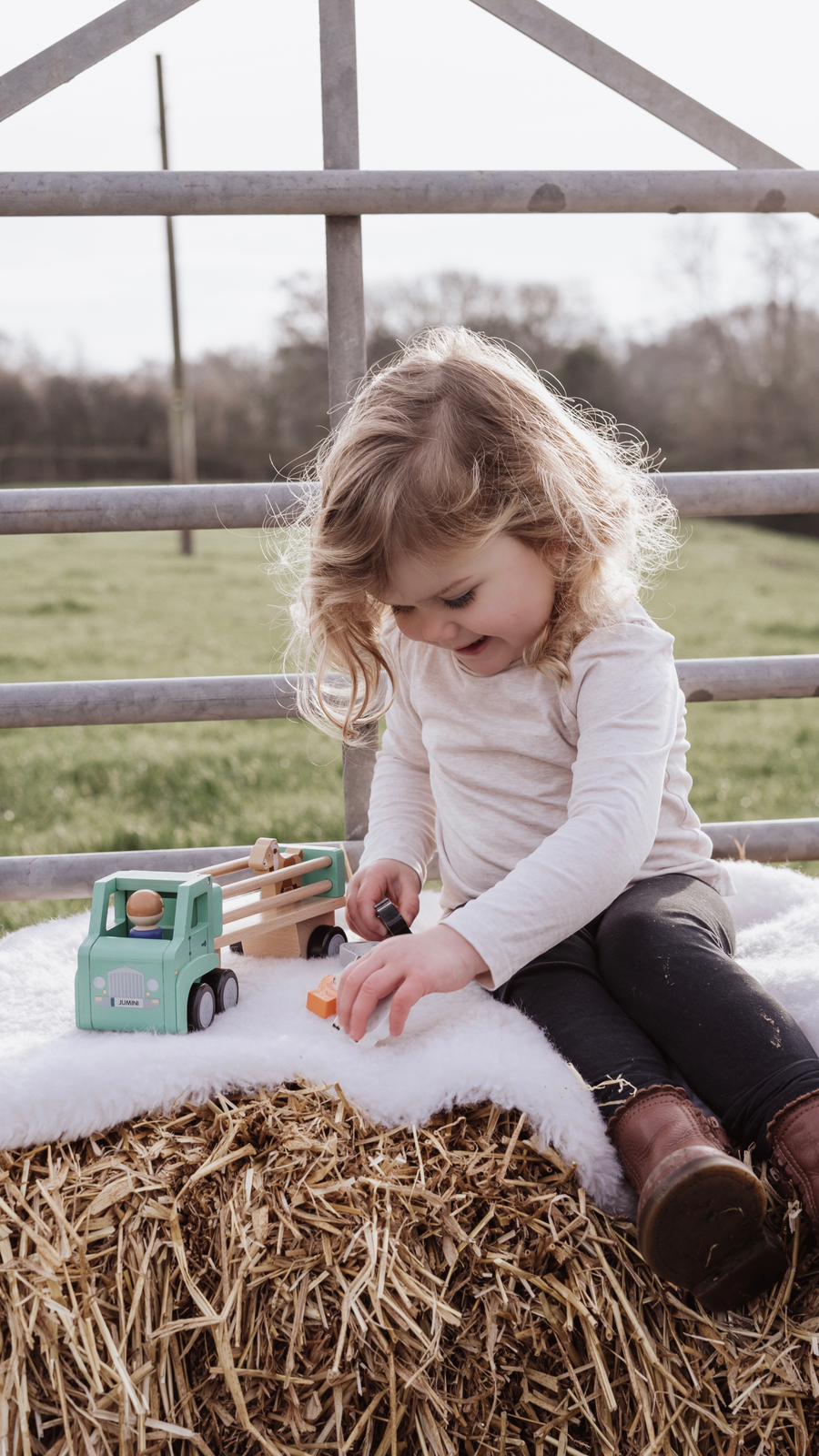 Wooden toys - Lorry and animals
