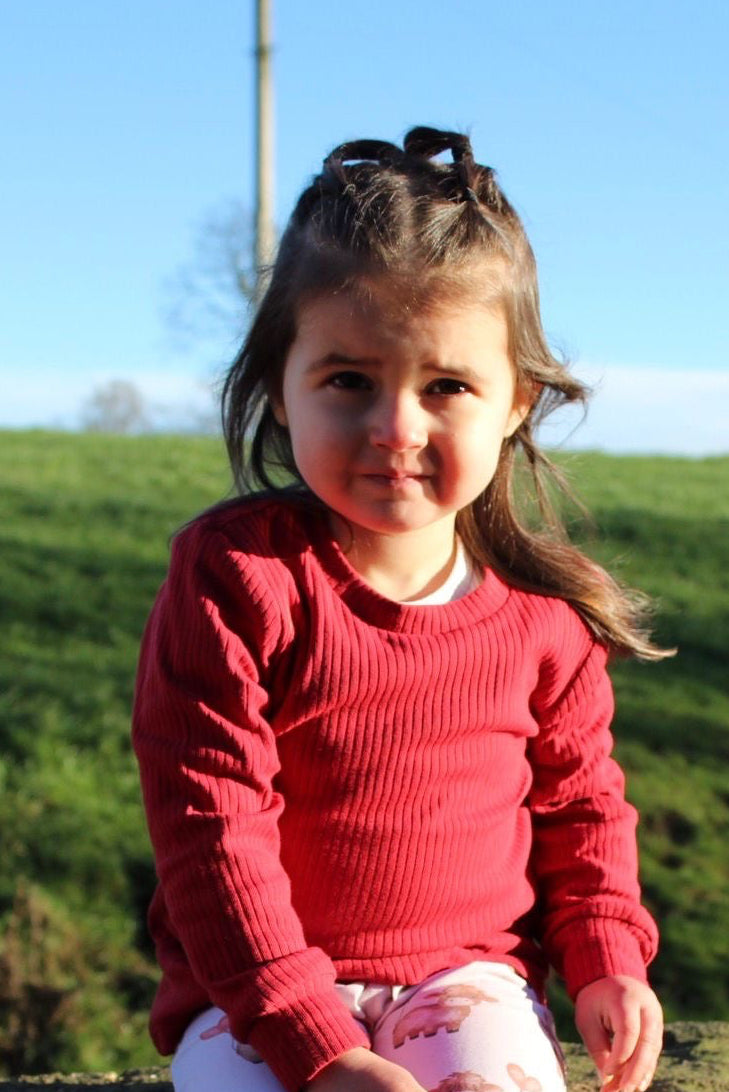 Cranberry ribbed bodysuit