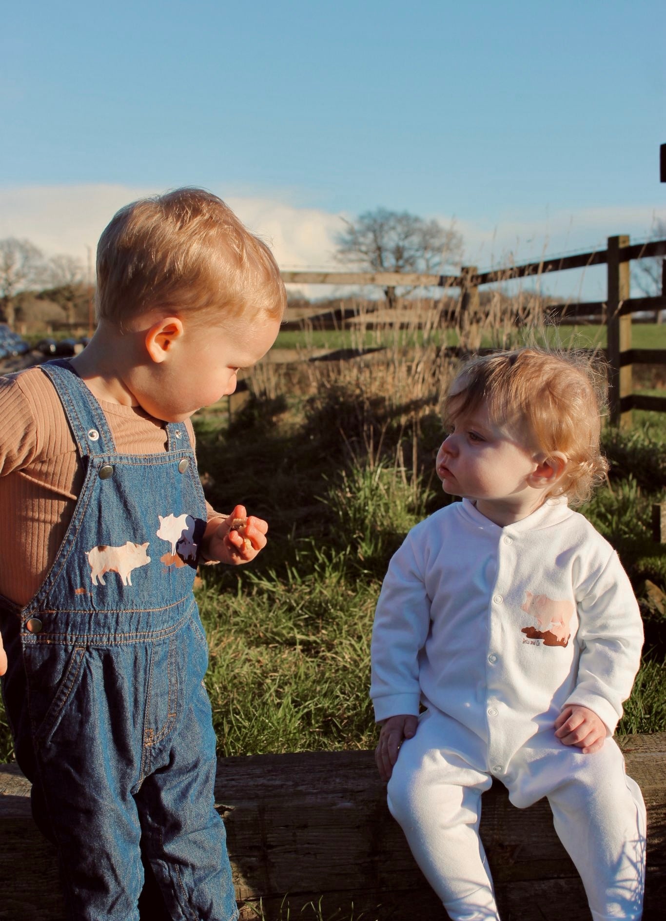 Pig dungarees