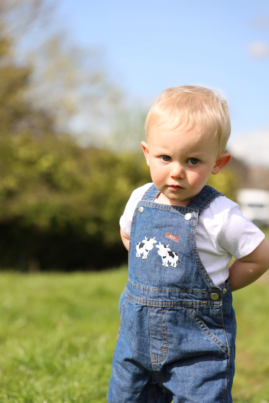 Moo dungarees