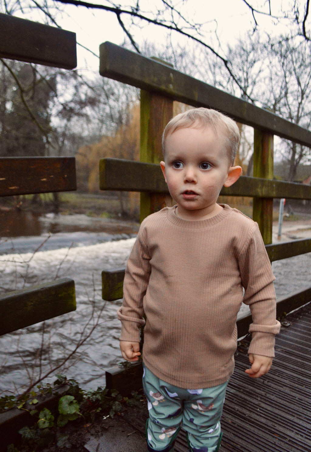 Chickens - Fabric of the month handmade leggings