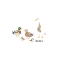Duck family sweatshirt (beige)