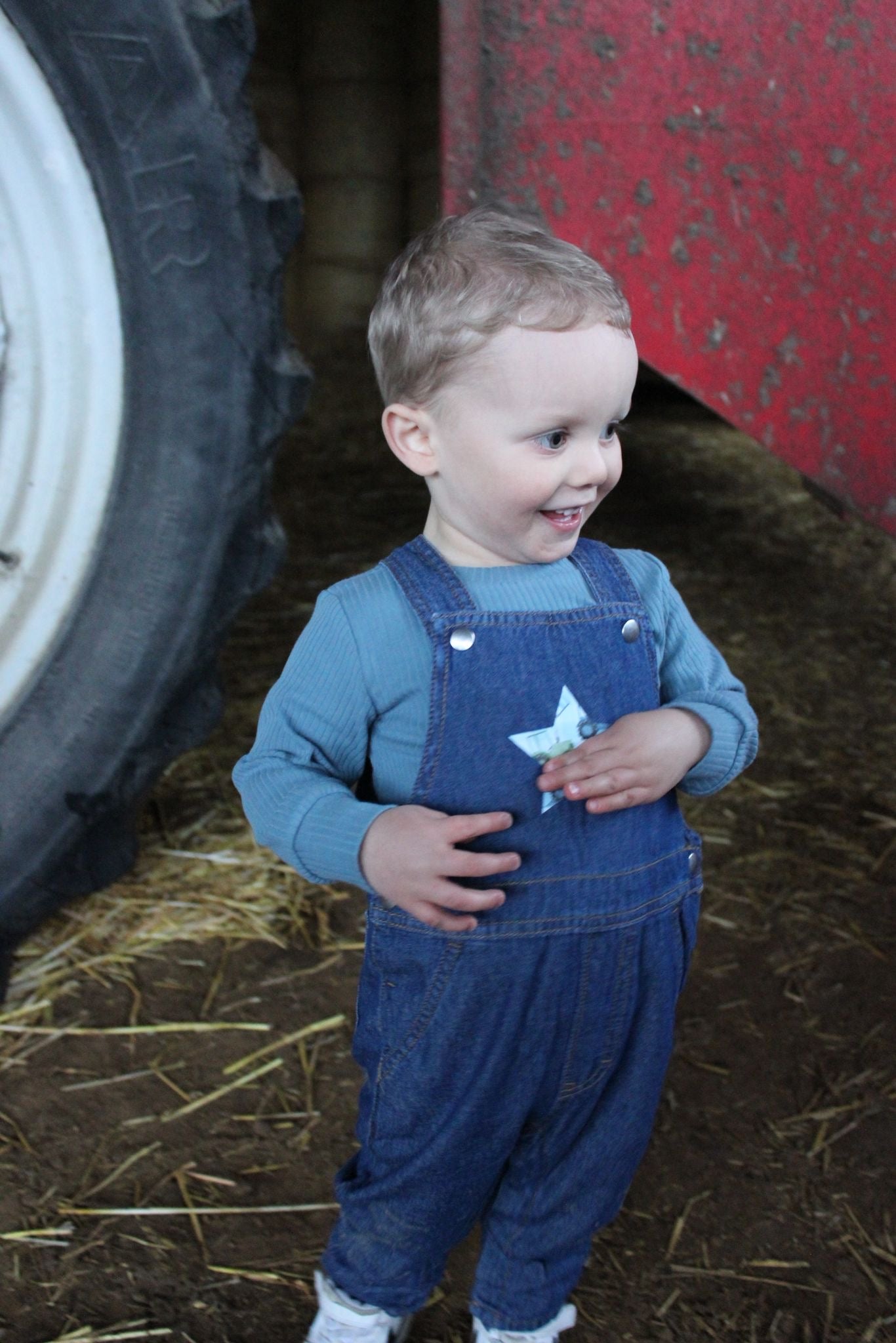 Tractor Patch (blue) dungarees