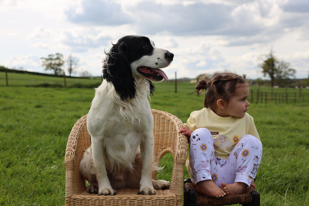 Sunflower farm handmade leggings
