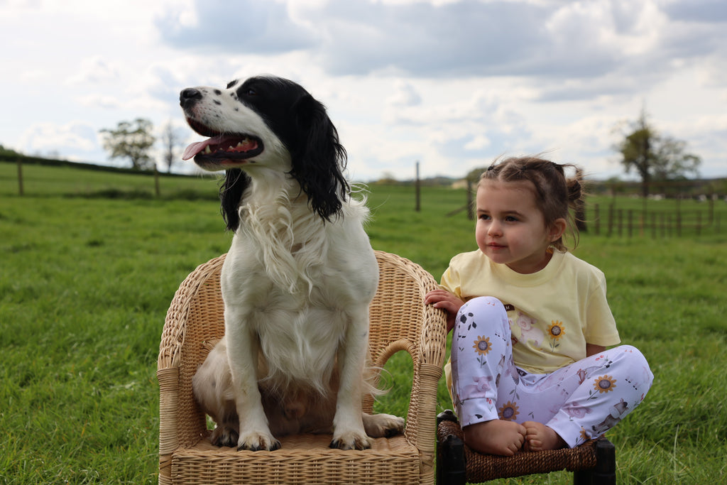 Sunflower farm handmade leggings