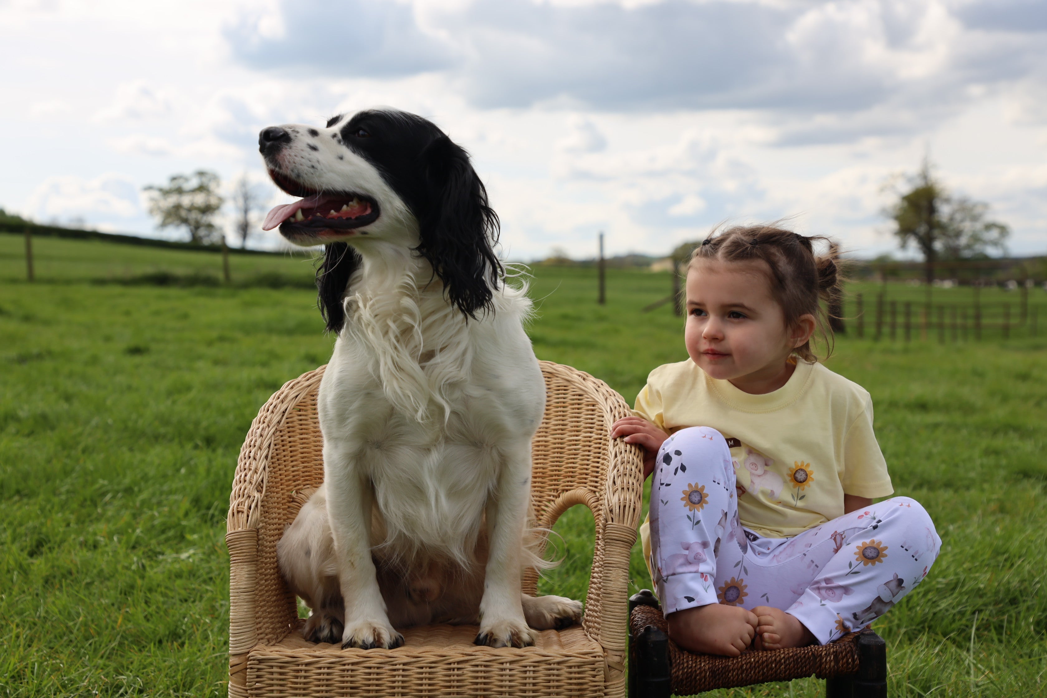 Sunflower farm handmade leggings