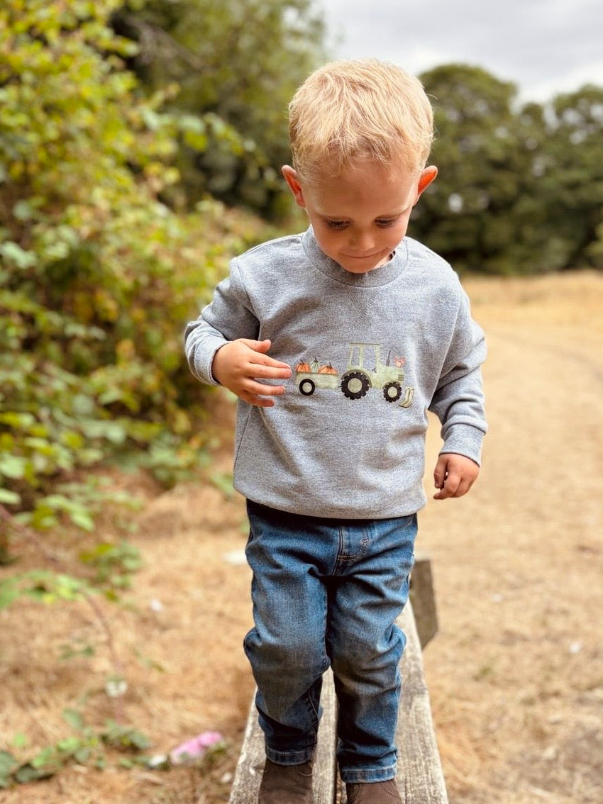 Pumpkin patch grey sweatshirt