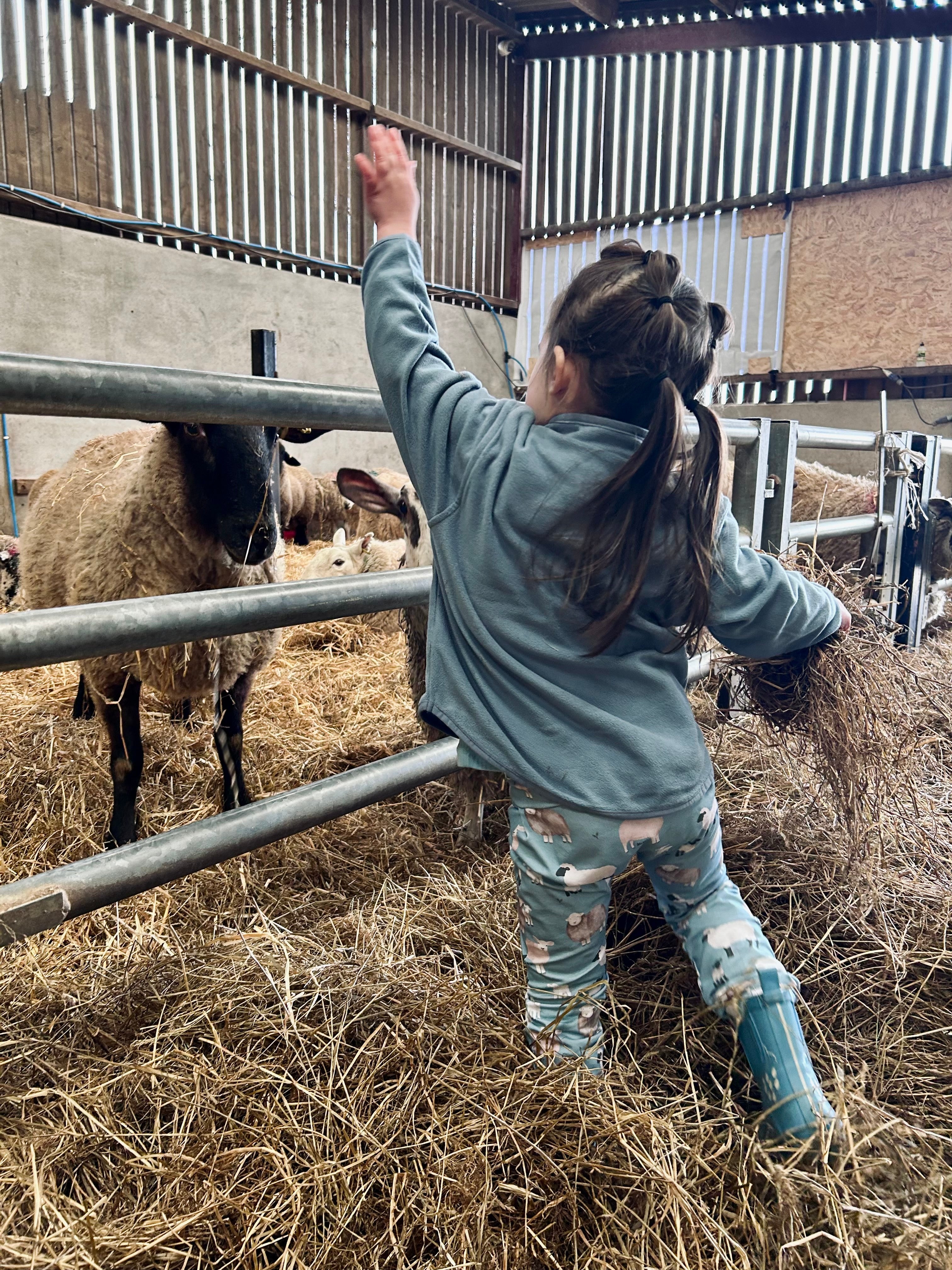 Sheep family handmade leggings