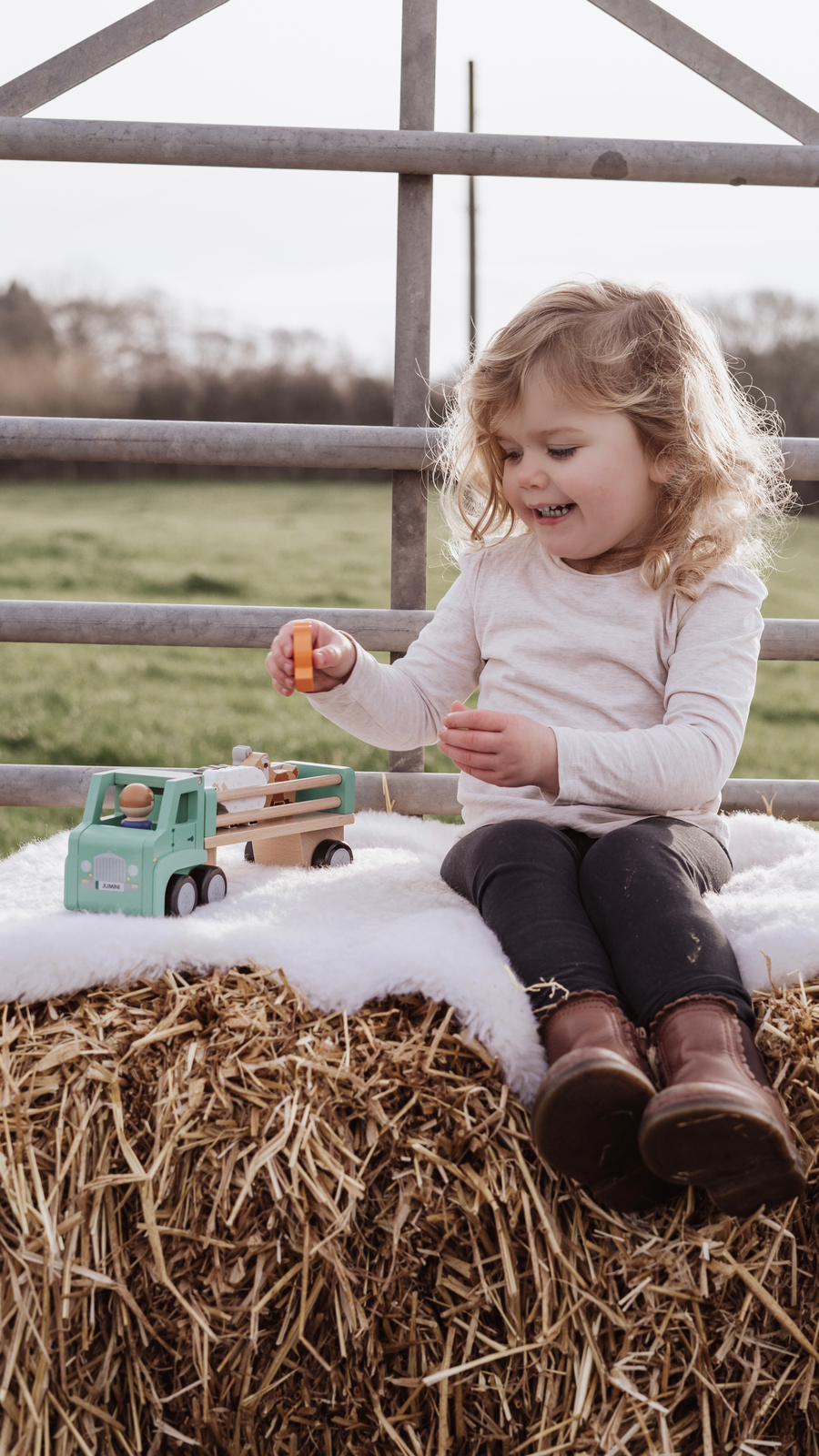 Wooden toys - Lorry and animals