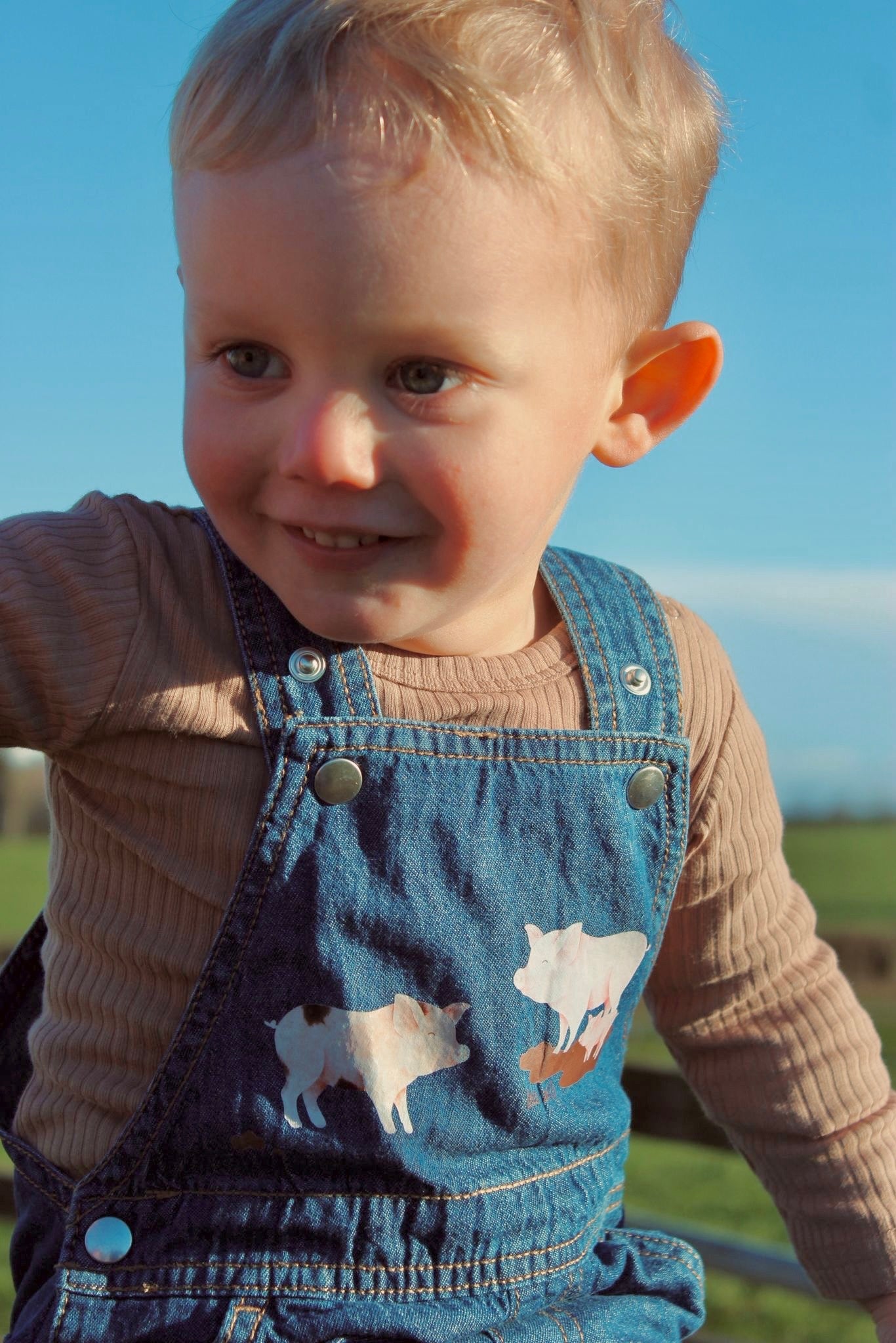Pig dungarees