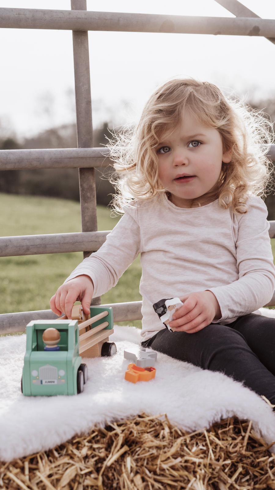 Wooden toys - Lorry and animals