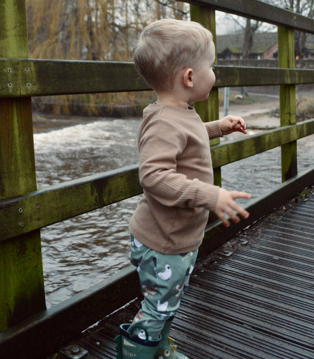 Chickens - Fabric of the month handmade leggings