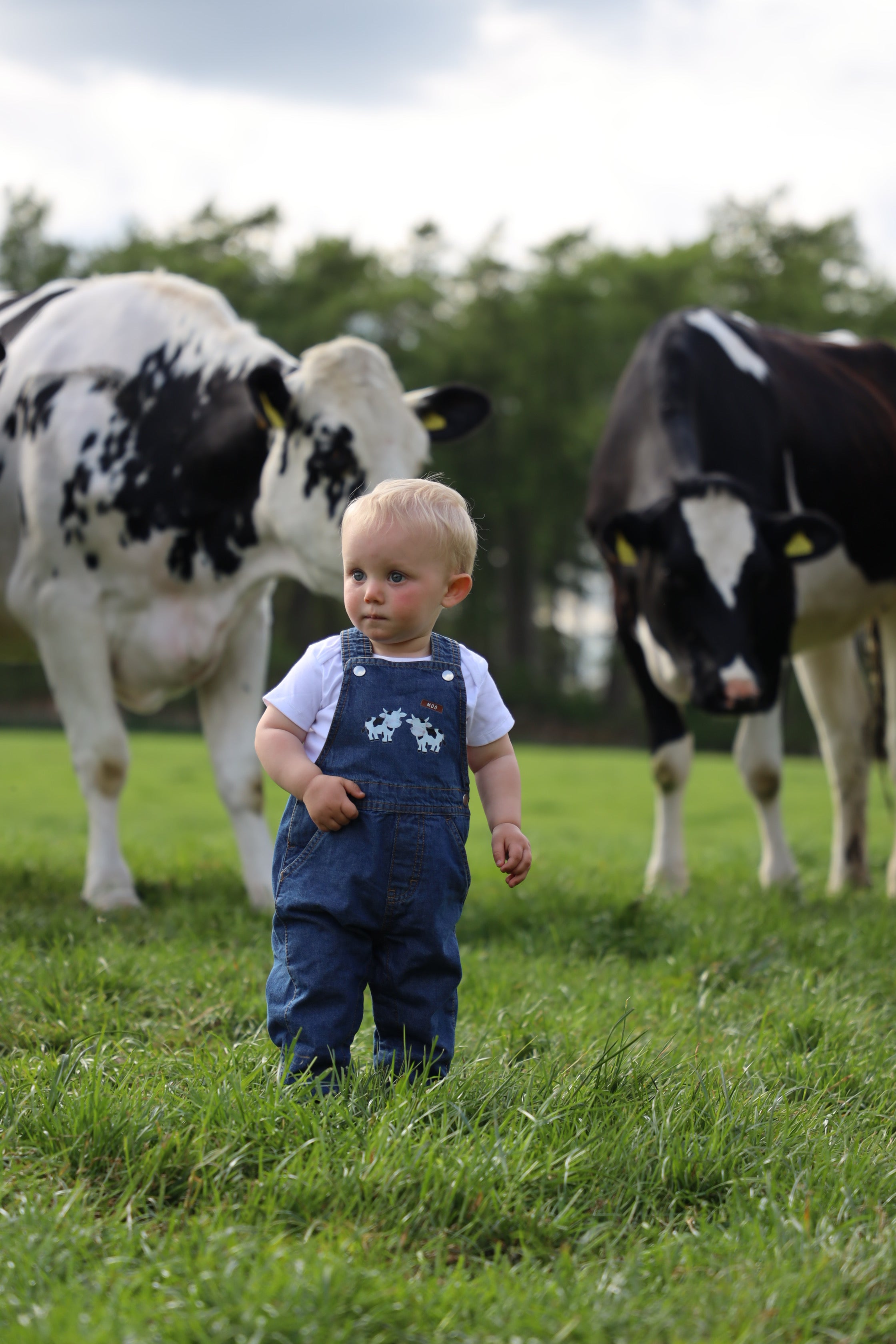 Moo dungarees