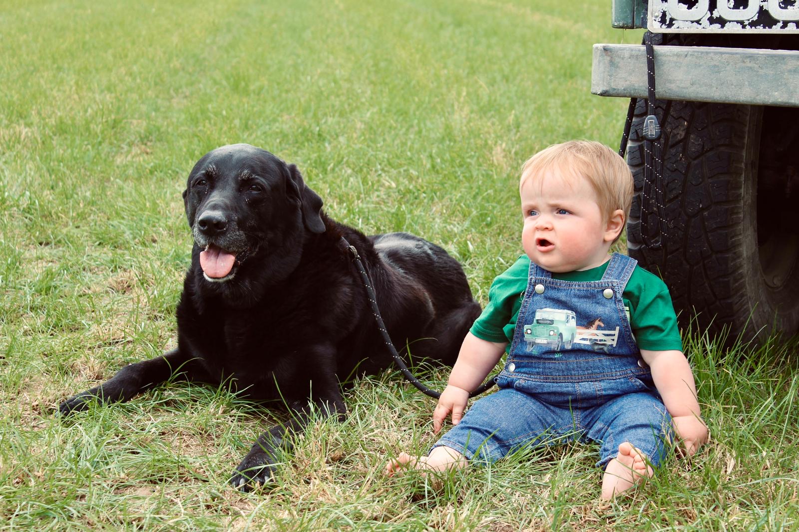 Horse and Hounds dungarees