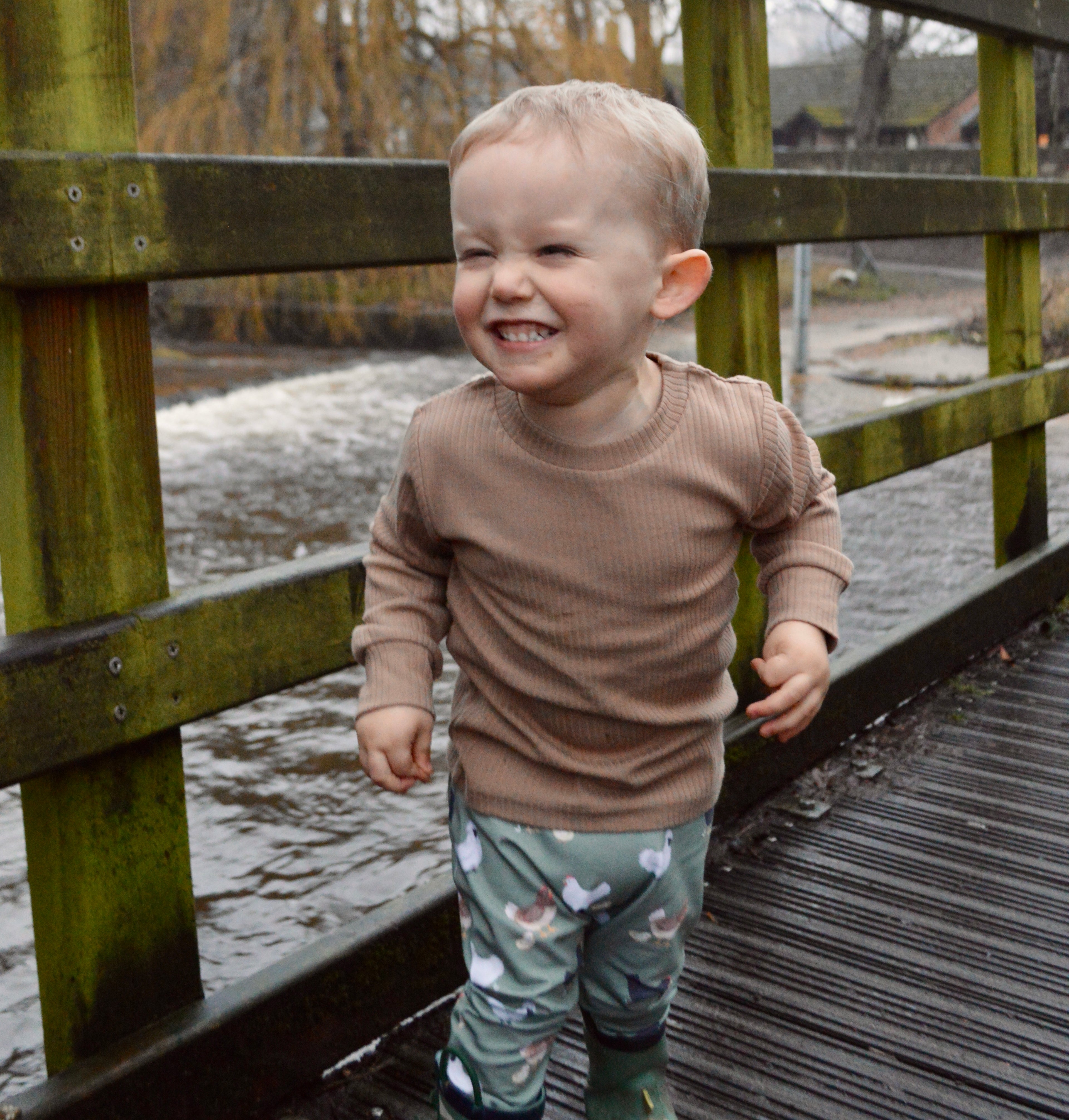 Chickens - Fabric of the month handmade leggings