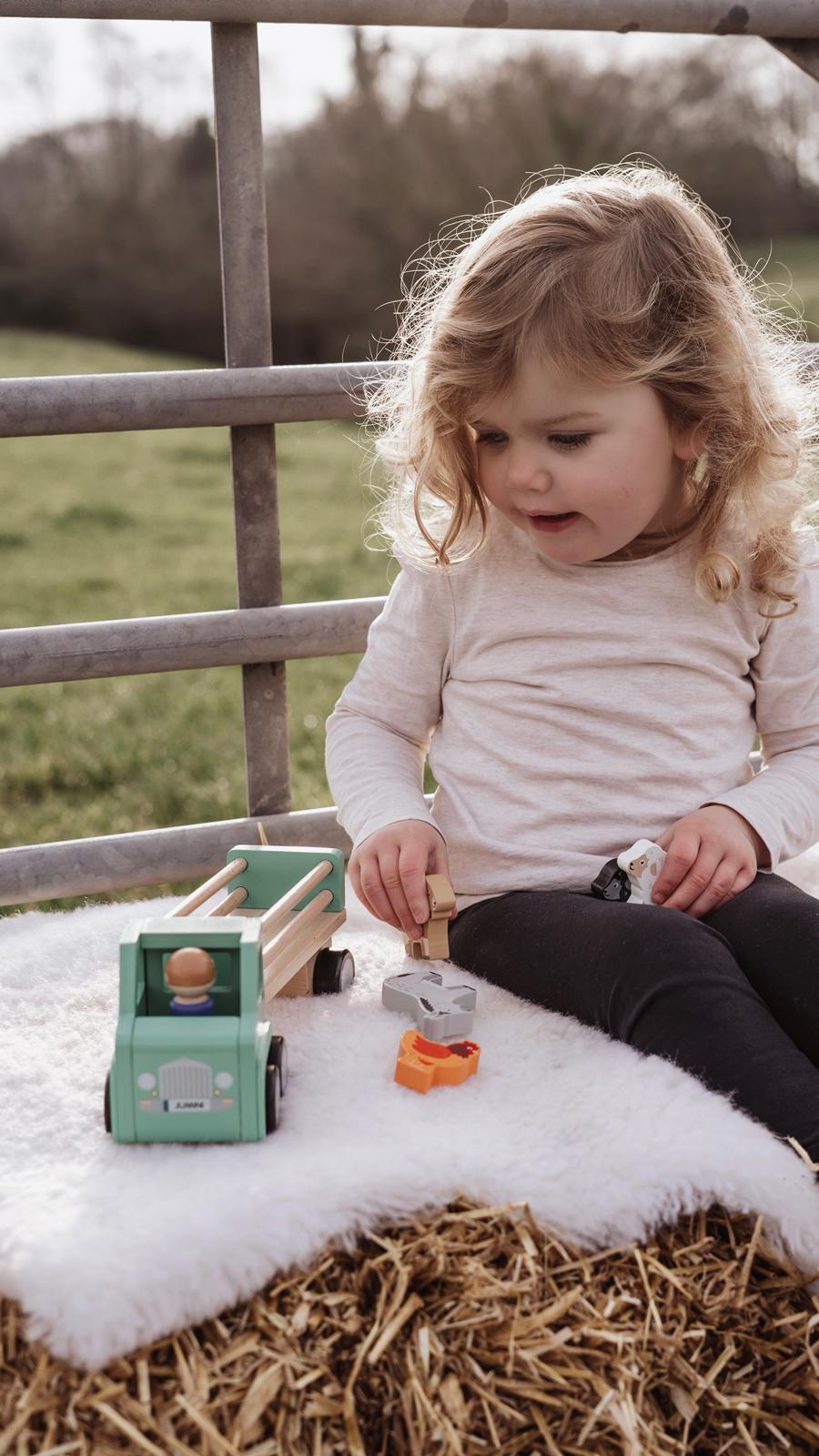 Wooden toys - Lorry and animals