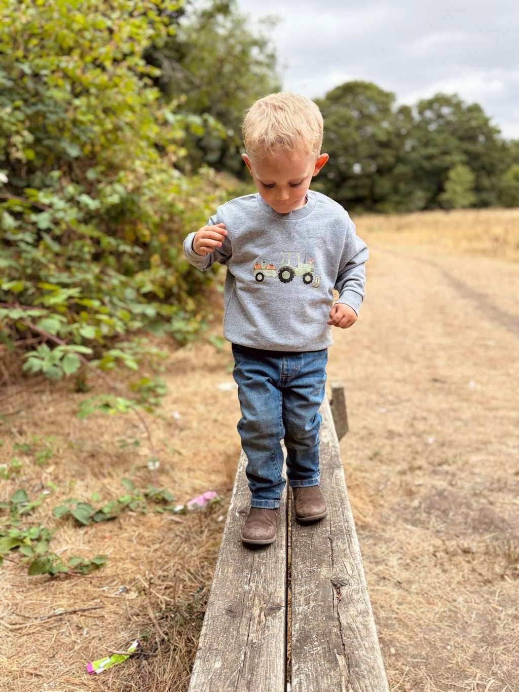 Pumpkin patch grey sweatshirt