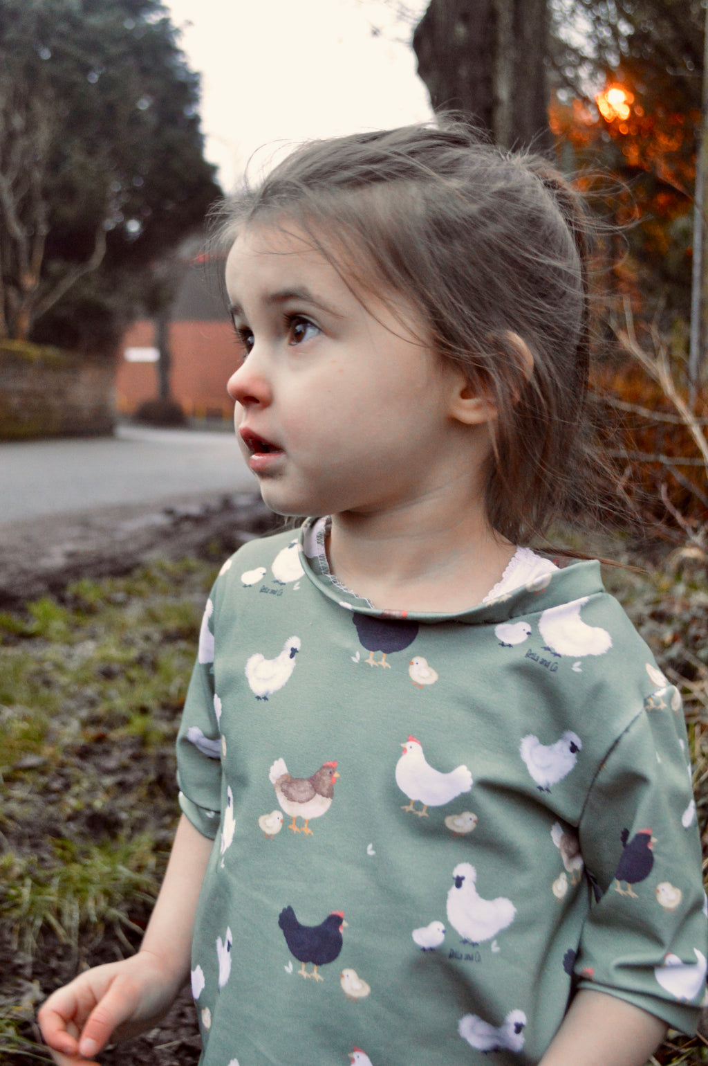 Chickens - Fabric of the month. Handmade tee