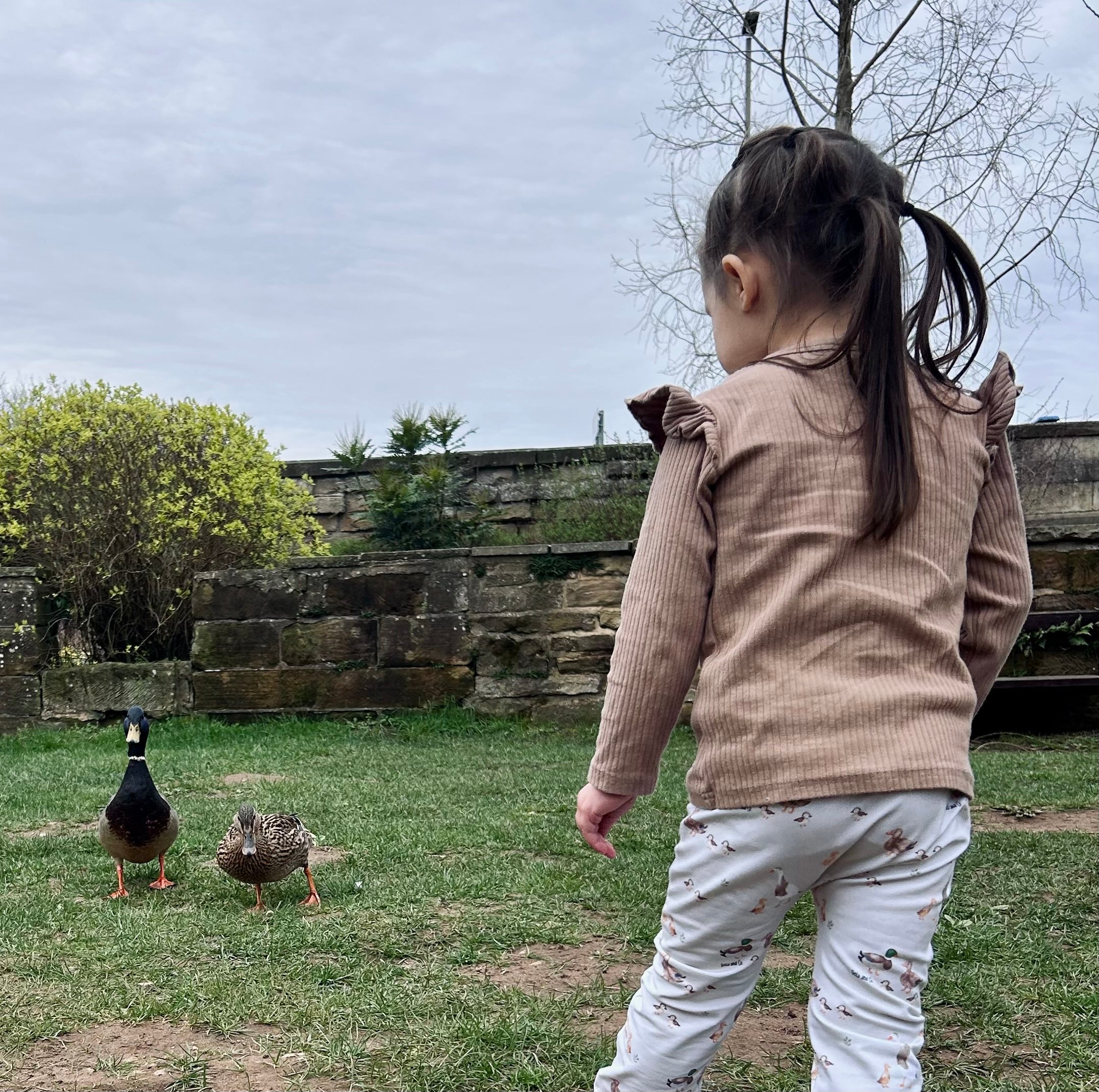 Duck family handmade leggings
