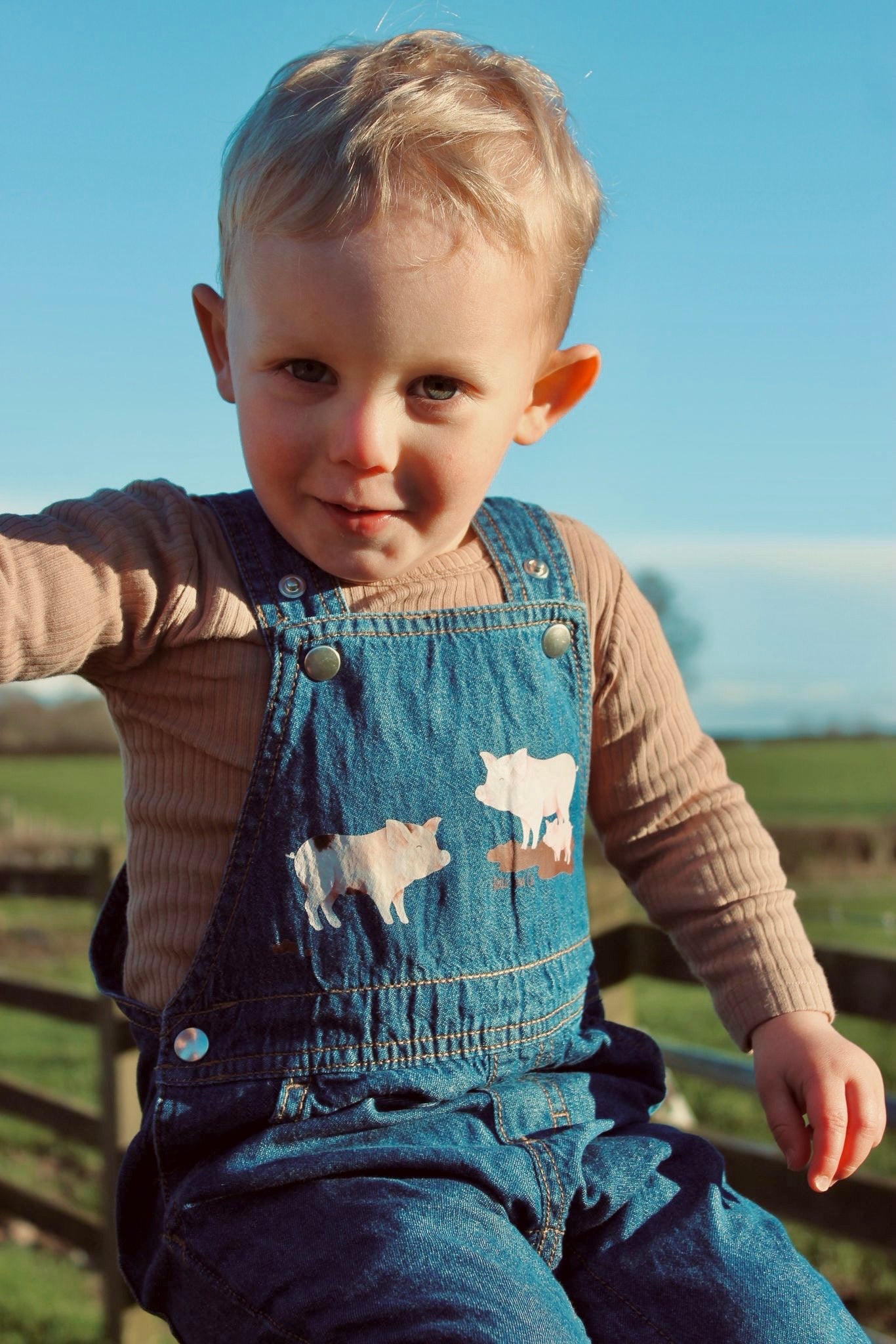 Pig dungarees