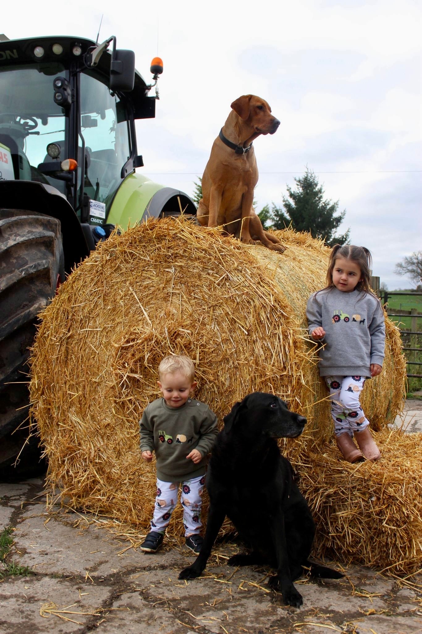 Jackson green sweatshirt