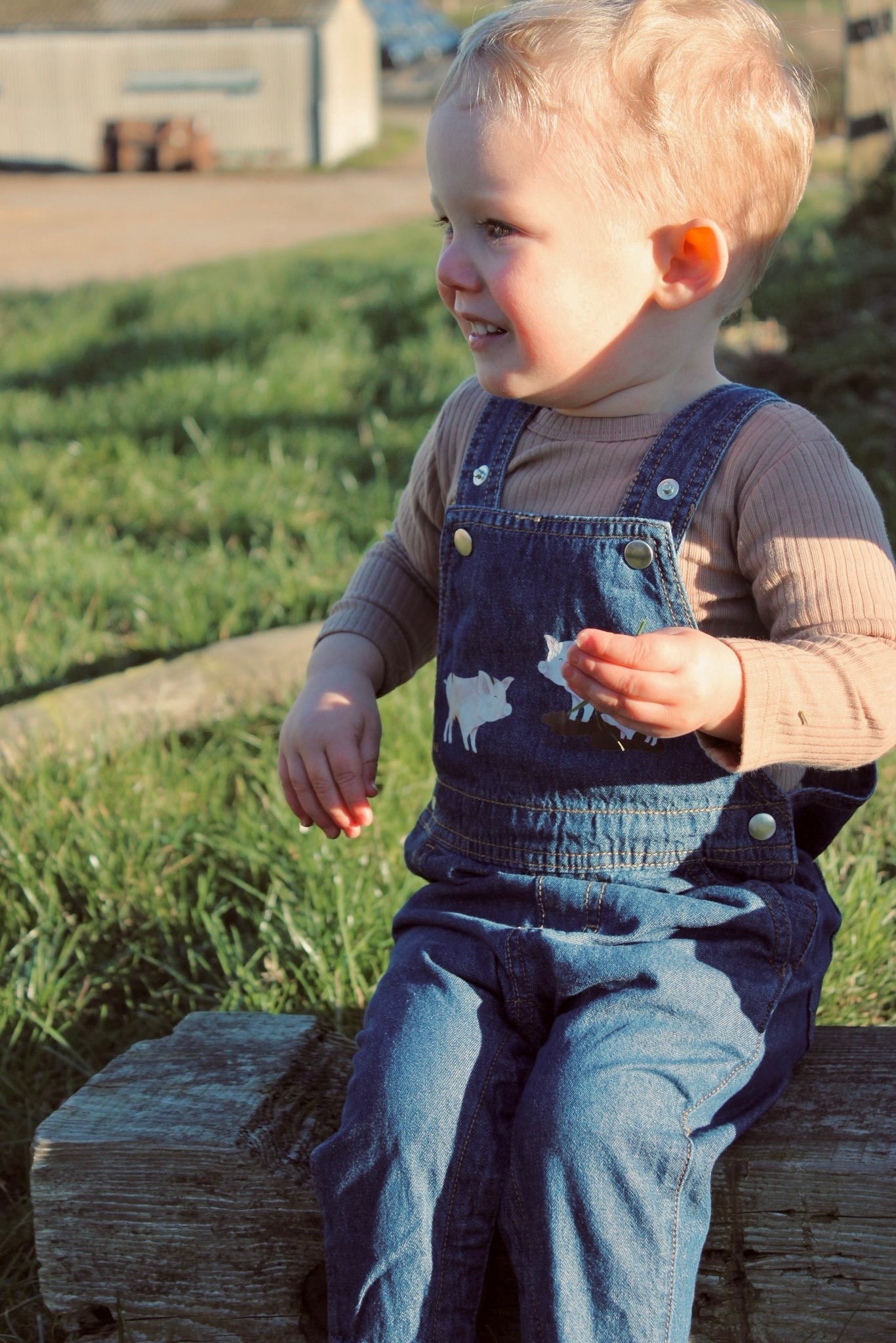 Pig dungarees