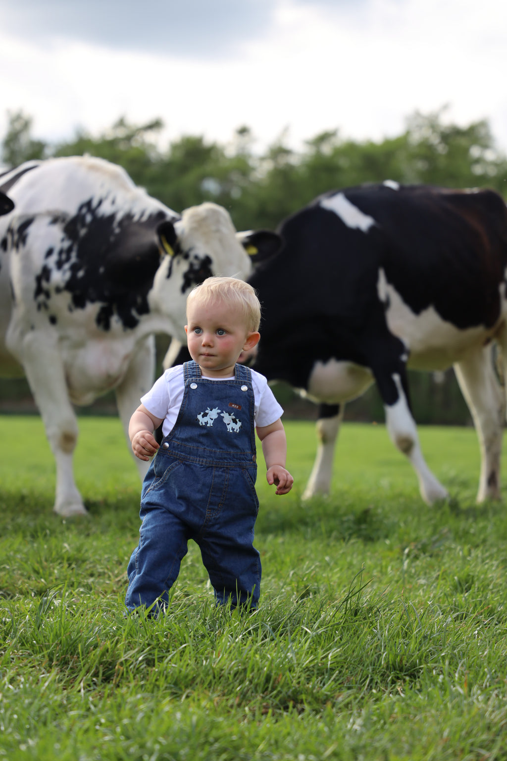 Moo dungarees