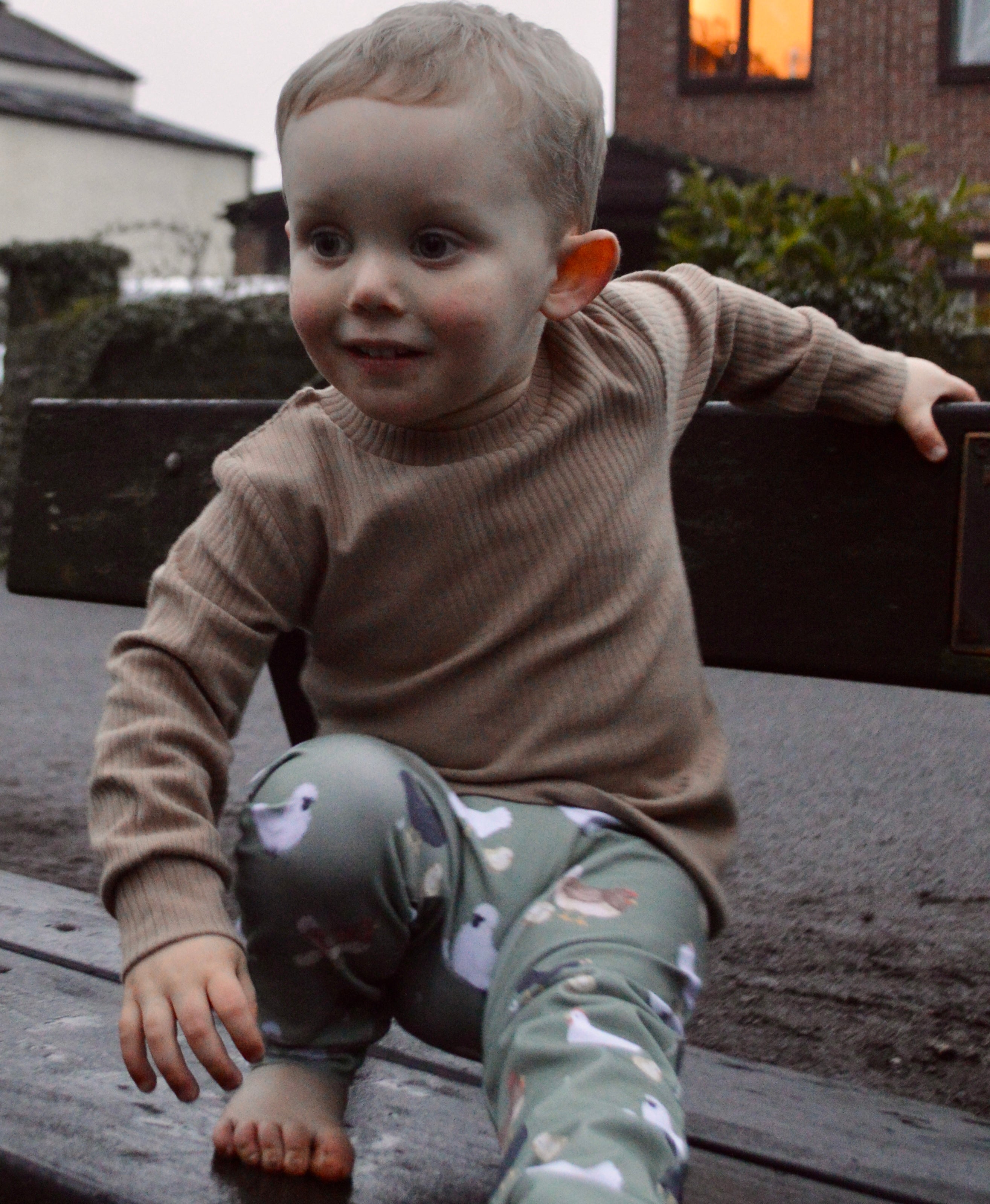 Chickens - Fabric of the month handmade leggings